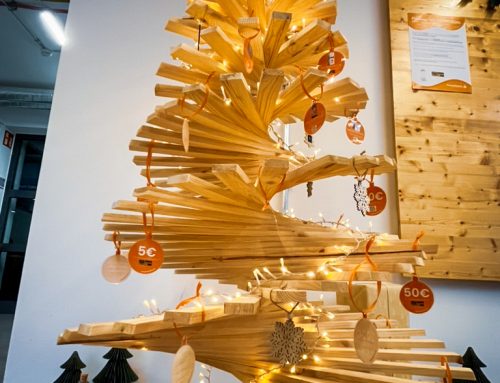 Pioneer-Wunschbaum 2025